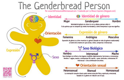 genderbread person540