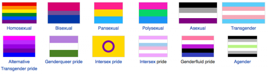 https://en.wikipedia.org/wiki/LGBT_symbols
